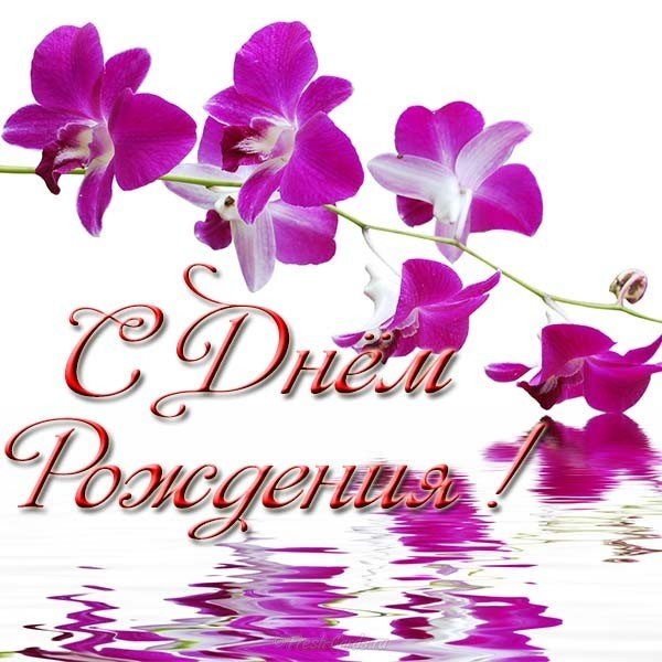 День Рождения Женщине Поздравление Открытка С Орхидеями