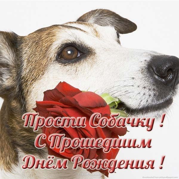 Поздравления С Прошедшим Днем Рождения Pozdravyn Ru