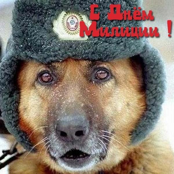 С Днем Полиции Поздравления С Собаками