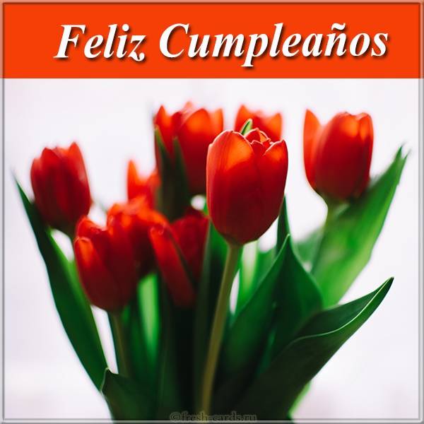 Открытка с поздравление дня рождения на Испанском