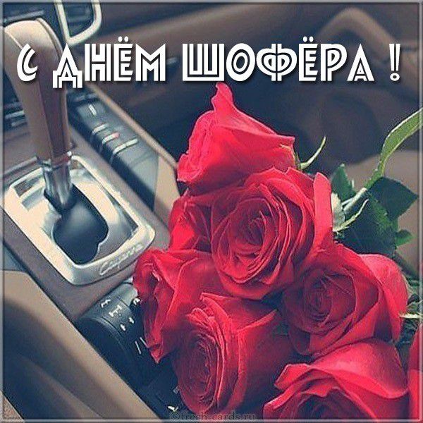 Картинка с днем шофера для девушек с розами
