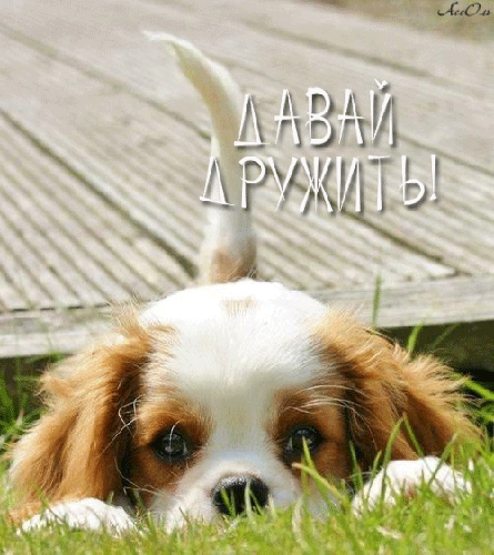 Анимация с забавным щенком: Давай дружить! - скачать бесплатно на otkrytkivsem.ru