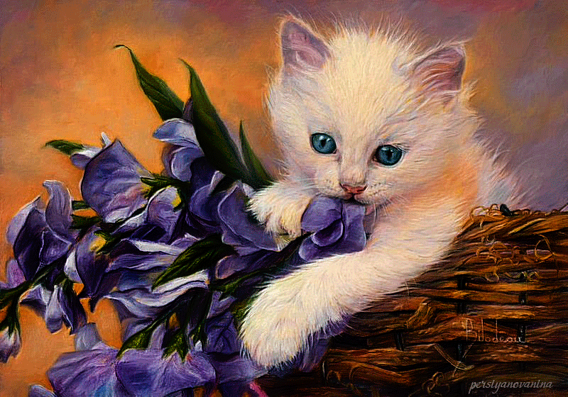 Белый котенок с голубыми глазами - скачать бесплатно на otkrytkivsem.ru