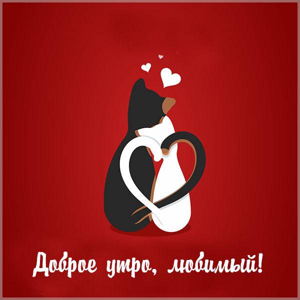 Бесплатная открытка доброе утро любимый - скачать бесплатно на otkrytkivsem.ru