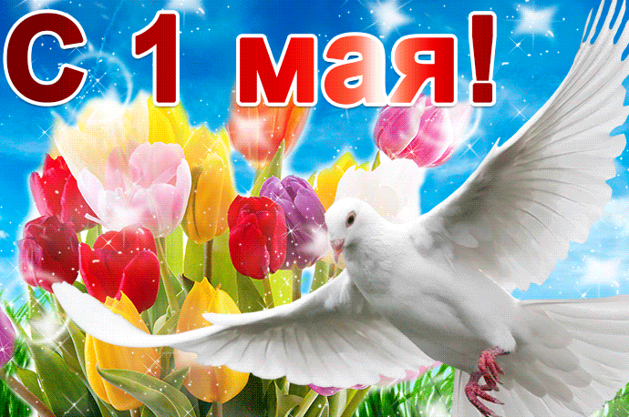Блестящая картинка 1 мая - скачать бесплатно на otkrytkivsem.ru