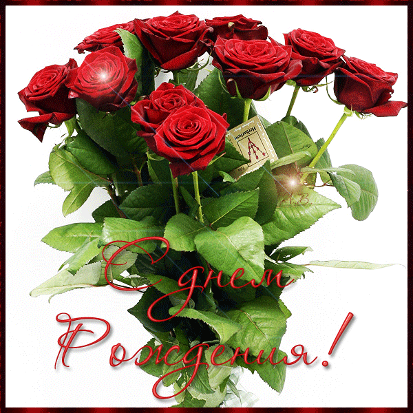 Букет красных роз на День Рождения! фото картинка - скачать бесплатно на otkrytkivsem.ru