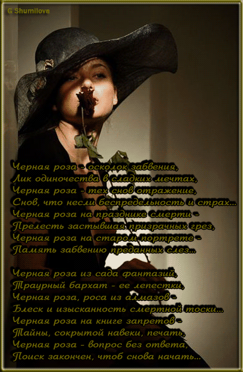 Черная роза - осколок забвения - скачать бесплатно на otkrytkivsem.ru