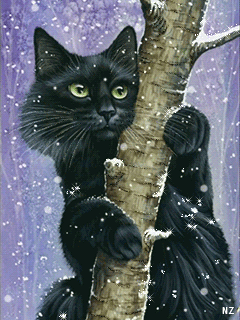 Чёрный кот на дереве - скачать бесплатно на otkrytkivsem.ru