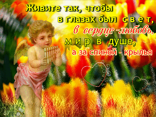 Фразы про жизнь любовь и счастье - скачать бесплатно на otkrytkivsem.ru