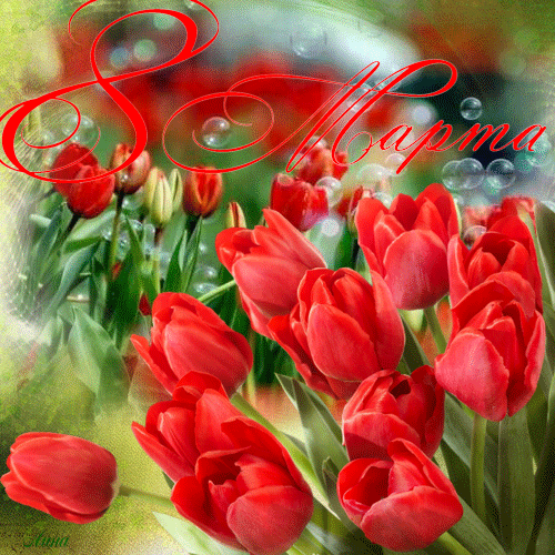 Гиф открытка с тюльпанами к 8 марта - скачать бесплатно на otkrytkivsem.ru