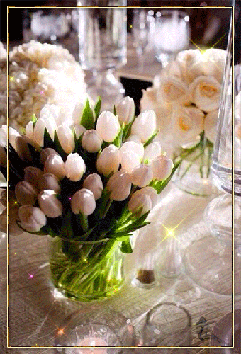 Картинка Букет из белых тюльпанов - скачать бесплатно на otkrytkivsem.ru