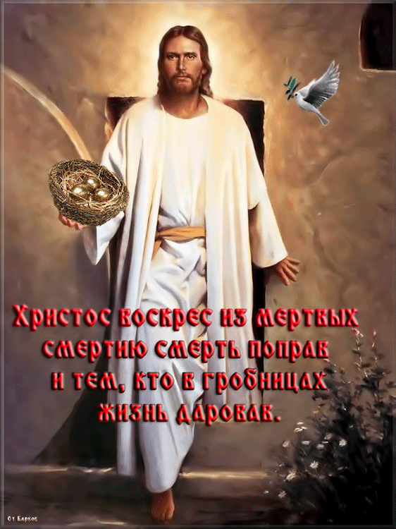 Картинка Христос воскрес из мертвых - скачать бесплатно на otkrytkivsem.ru