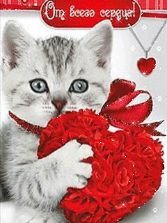 Картинка котенок с сердечком - скачать бесплатно на otkrytkivsem.ru