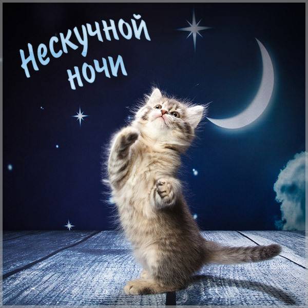 Картинка нескучной ночи - скачать бесплатно на otkrytkivsem.ru