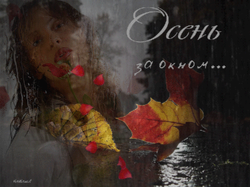 Картинка Осень за окном! - скачать бесплатно на otkrytkivsem.ru