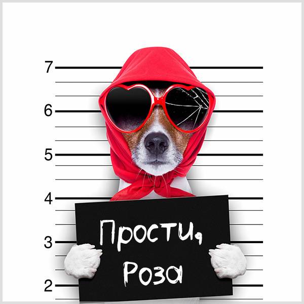 Картинка Роза прости - скачать бесплатно на otkrytkivsem.ru