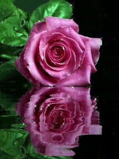 Картинка Розовая роза над водой - скачать бесплатно на otkrytkivsem.ru