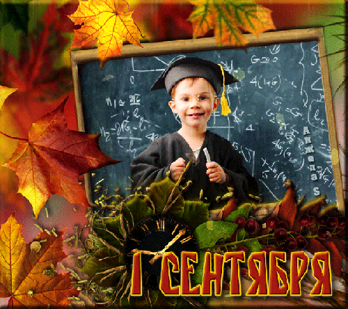 Картинка с 1 сентября учителю - скачать бесплатно на otkrytkivsem.ru