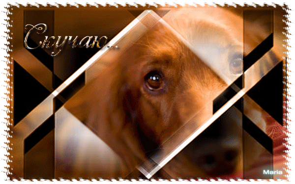 Картинка с грустной собакой Скучаю - скачать бесплатно на otkrytkivsem.ru