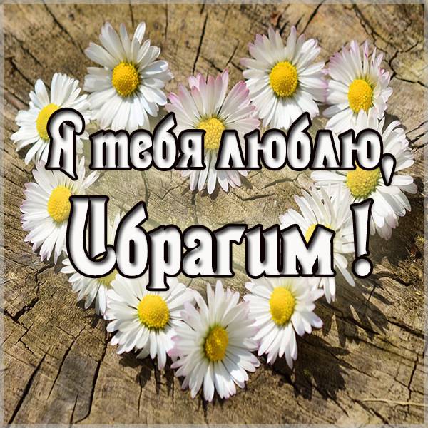 Картинка с именем Ибрагим я тебя люблю - скачать бесплатно на otkrytkivsem.ru