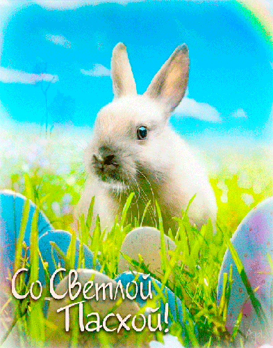 Картинка с пасхальным кроликом Со Светлой Пасхой! - скачать бесплатно на otkrytkivsem.ru