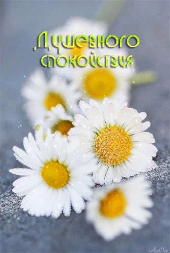 Картинка с цветами: Душевного спокойствия - скачать бесплатно на otkrytkivsem.ru