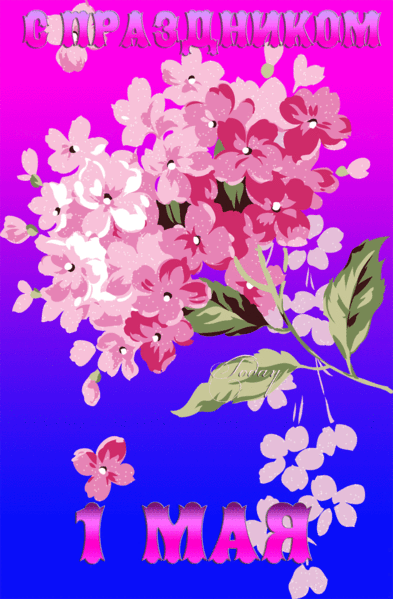 Картинка с цветами с Праздником 1 мая - скачать бесплатно на otkrytkivsem.ru