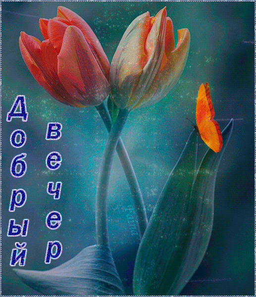 Картинка с тюльпанами Добрый вечер! - скачать бесплатно на otkrytkivsem.ru