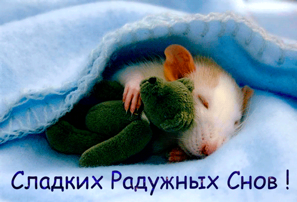 Картинка Сладких радужных снов! - скачать бесплатно на otkrytkivsem.ru