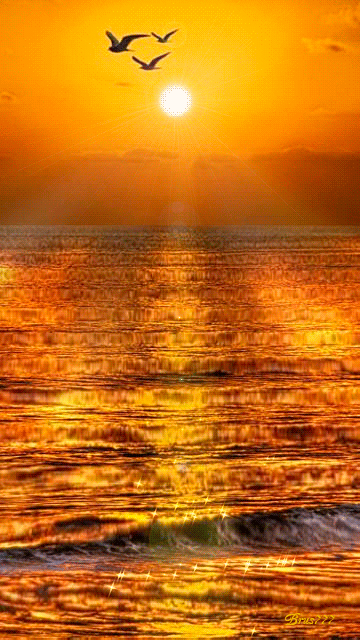 Картинка солнечное море - скачать бесплатно на otkrytkivsem.ru