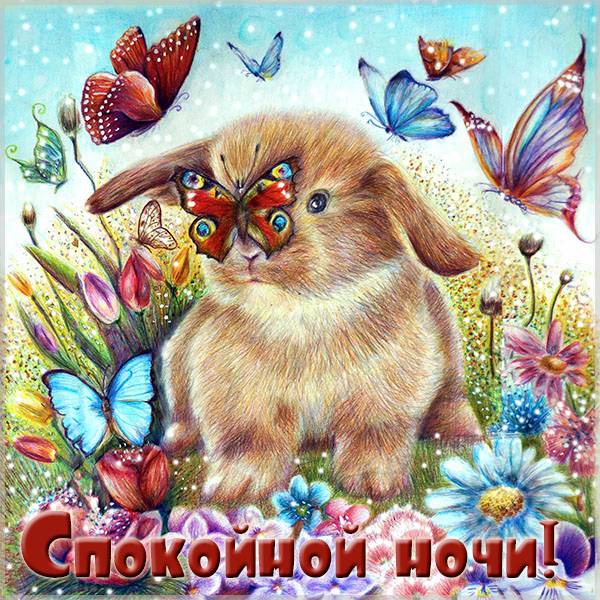 Картинка спокойной ночи весна бабочки заяц цветы - скачать бесплатно на otkrytkivsem.ru
