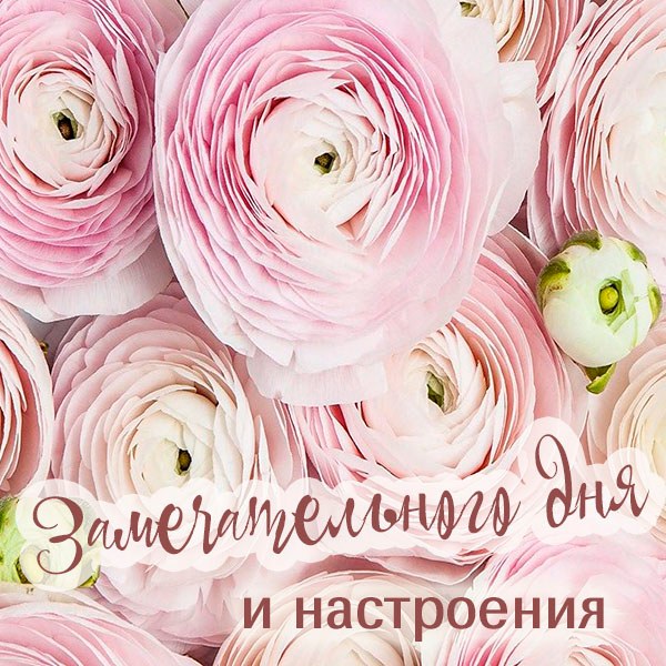 Картинка замечательного дня и настроения - скачать бесплатно на otkrytkivsem.ru