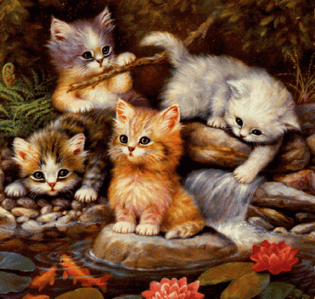 Картинки кошек и котят - скачать бесплатно на otkrytkivsem.ru