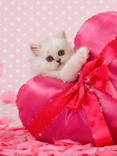 Кошка с сердечком - скачать бесплатно на otkrytkivsem.ru