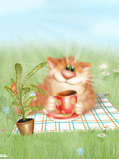 Кот на пикнике - скачать бесплатно на otkrytkivsem.ru