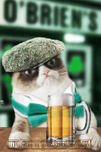 Кот с кружкой пива - скачать бесплатно на otkrytkivsem.ru