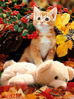Котенок в осенних листьях - скачать бесплатно на otkrytkivsem.ru