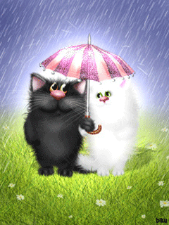 Котики под дождем - скачать бесплатно на otkrytkivsem.ru