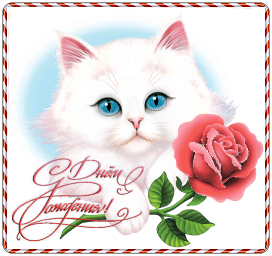 Котёнок дарит розу на день Рождения - скачать бесплатно на otkrytkivsem.ru