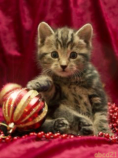 Котёнок с елочной игрушкой - скачать бесплатно на otkrytkivsem.ru