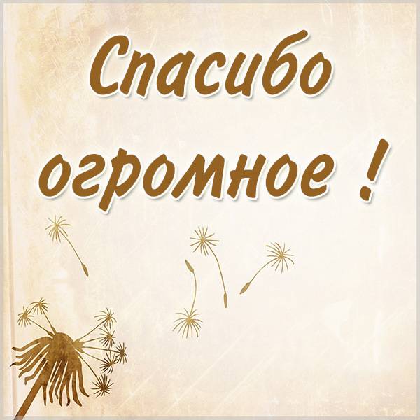 Красивая открытка со словами спасибо огромное - скачать бесплатно на otkrytkivsem.ru