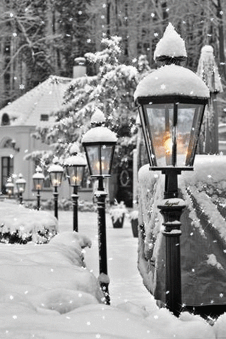 Красивая зима в картинках - скачать бесплатно на otkrytkivsem.ru