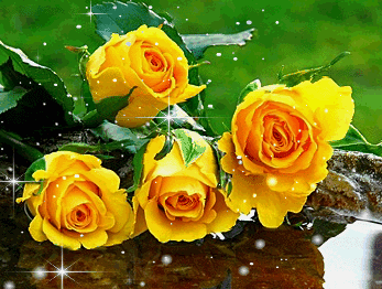 Красивые желтые розы. - скачать бесплатно на otkrytkivsem.ru