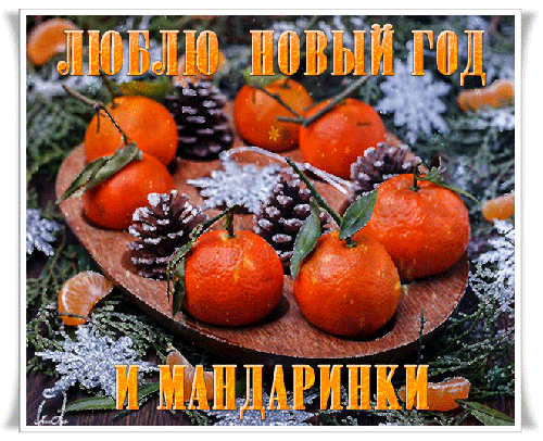 Люблю Новый год и мандаринки - скачать бесплатно на otkrytkivsem.ru