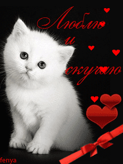 Маленькая картинка с белым котенком Люблю и скучаю - скачать бесплатно на otkrytkivsem.ru