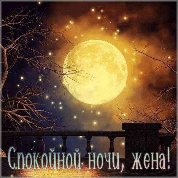 Необычная картинка спокойной ночи жене - скачать бесплатно на otkrytkivsem.ru