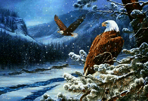 Орел над зимним лесом - скачать бесплатно на otkrytkivsem.ru