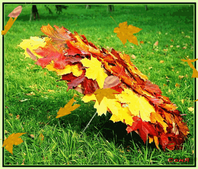 Осень картинки красивые - скачать бесплатно на otkrytkivsem.ru