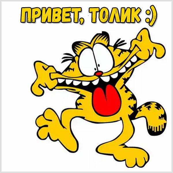 Открытка привет Толик - скачать бесплатно на otkrytkivsem.ru