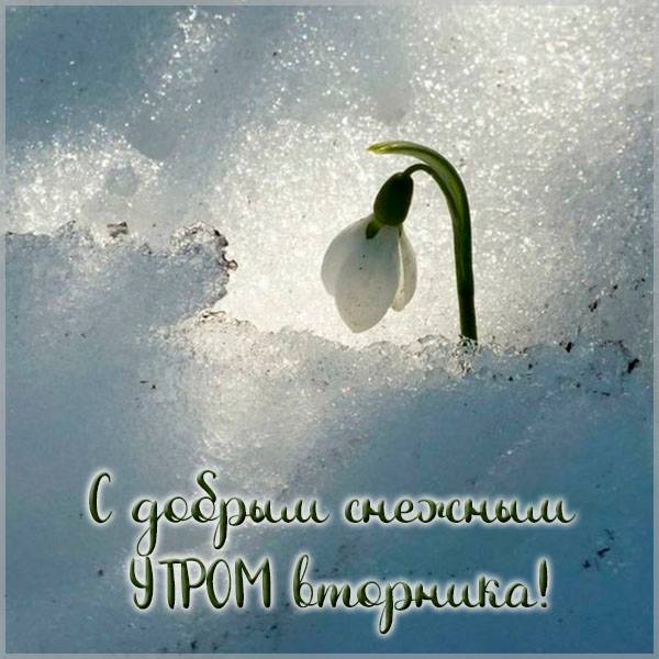 Открытка с добрым снежным утром вторника - скачать бесплатно на otkrytkivsem.ru